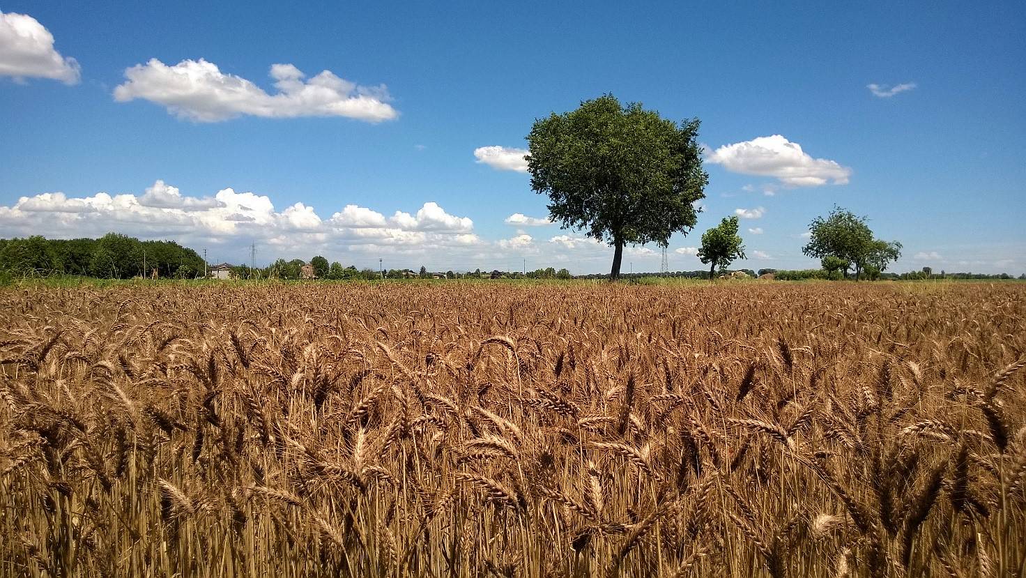 Un legame autentico con la terra